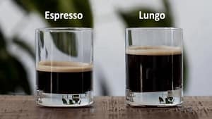 lungo 1